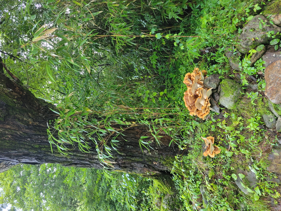 be56bfd2b176cc5b8368f8d5ca1b86f9_1629796992_1651.jpg