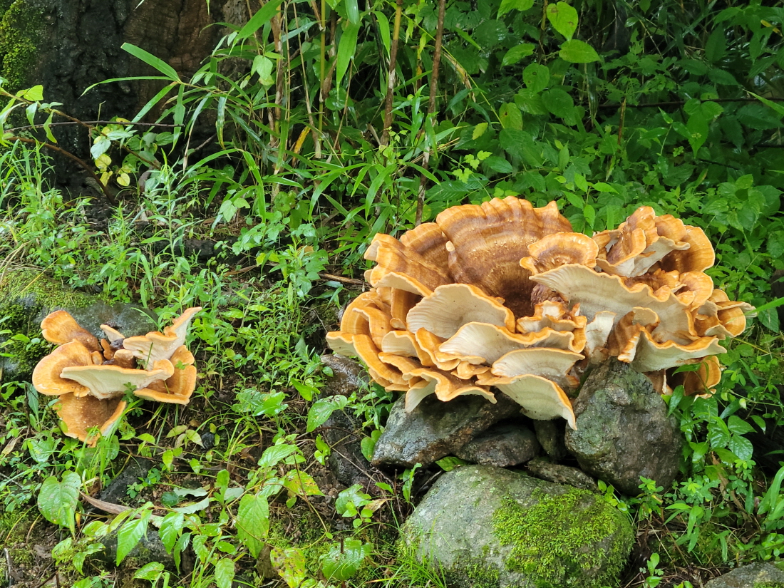be56bfd2b176cc5b8368f8d5ca1b86f9_1629797000_7808.jpg