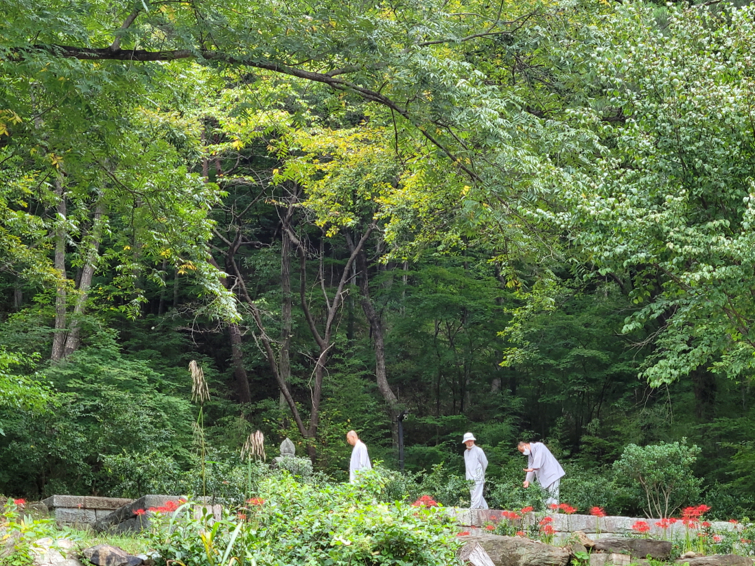 0a0ba5c2bc6632e472e2149aebe84bd6_1631842629_7434.jpg