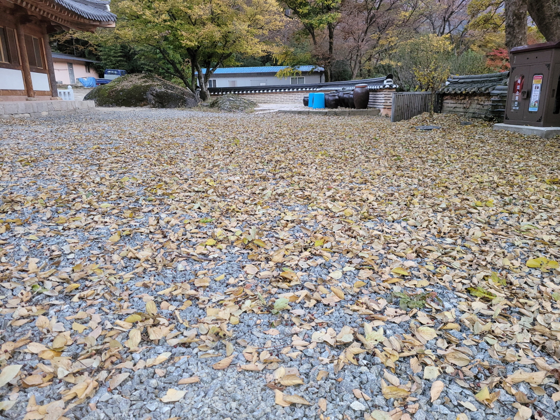75d560a02814b1d0ef69648a055ca88a_1636721813_7544.jpg